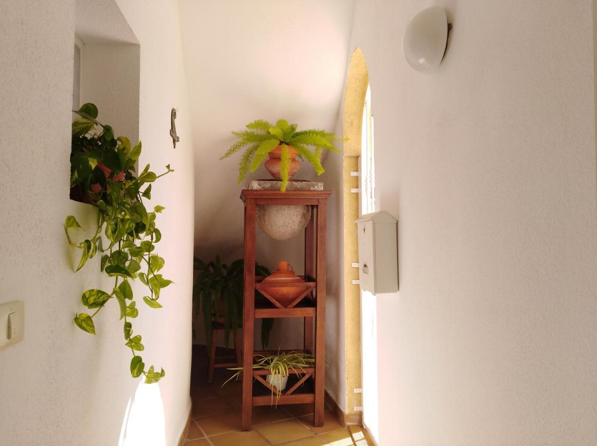 Apto. Pina De Mar Costa Adeje  Zewnętrze zdjęcie
