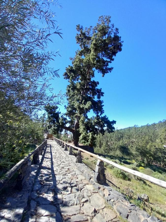Apto. Pina De Mar Costa Adeje  Zewnętrze zdjęcie
