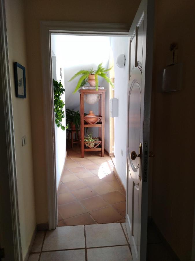 Apto. Pina De Mar Costa Adeje  Zewnętrze zdjęcie